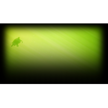 Turtle (Profile Background)