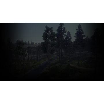 The peace and quiet of the woods