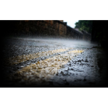 Julia (Profile Background)