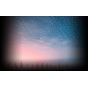 Chives (Profile Background)