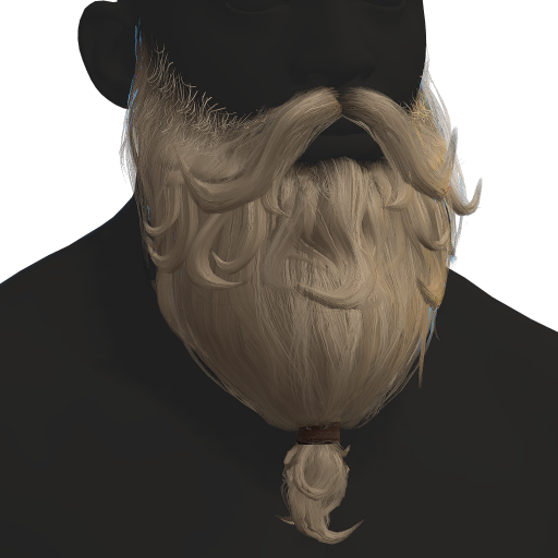 Wizard Beard