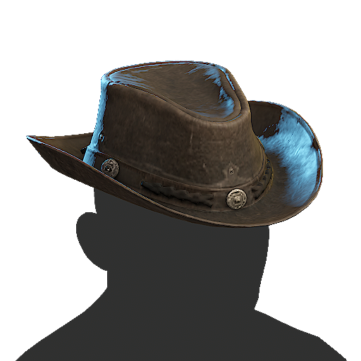 Cowboy Hat