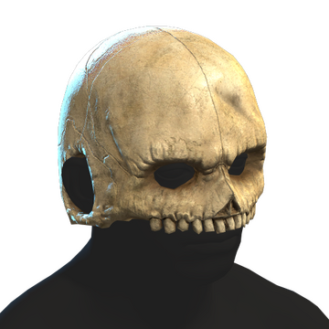 Skull Helmet