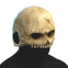 Skull Helmet