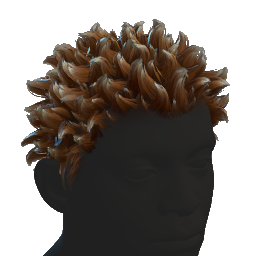 Spiky Hair Frosted Tips
