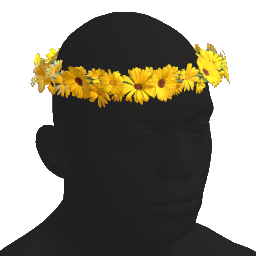 Flower Crown