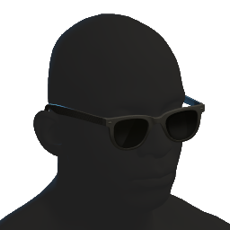 Sunglasses Black