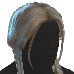 Braided Hair