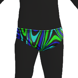 Swimming Trunks