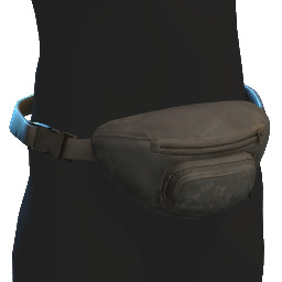 Fanny Pack