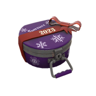 Steam Community Market :: Listings for Winter 2023 Cosmetic Case