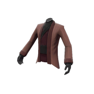 Strange Rogue's Robe