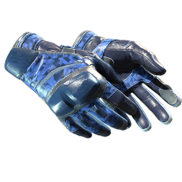 ★ Moto Gloves | Polygon (Field-Tested)