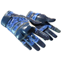 ★ Moto Gloves | Polygon (Field-Tested)