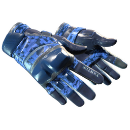 ★ Moto Gloves | Polygon (Minimal Wear)