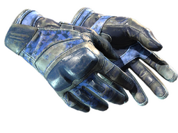 ★ Moto Gloves | Polygon