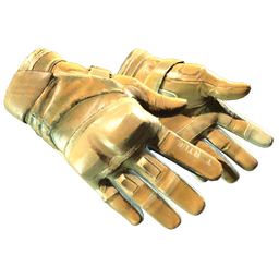 ★ Moto Gloves | Transport (Well-Worn)