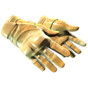 ★ Moto Gloves | Transport (Minimal Wear)