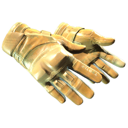 ★ Moto Gloves | Transport (Minimal Wear)