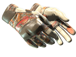 ★ Moto Gloves | POW!