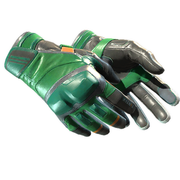 ★ Moto Gloves | Turtle (Minimal Wear)