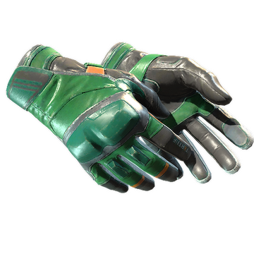 ★ Moto Gloves | Turtle (Well-Worn)