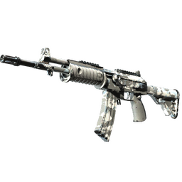 Galil AR | Winter Forest (Well-Worn)