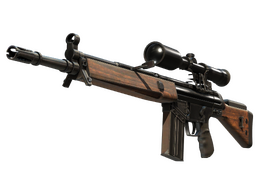 StatTrak™ G3SG1 | Hunter