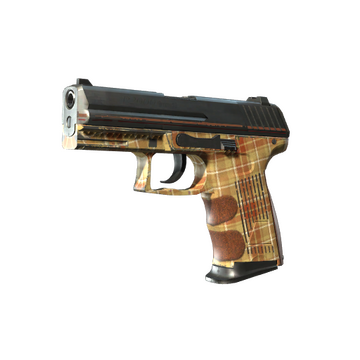 P2000 | Coach Class (Field-Tested)