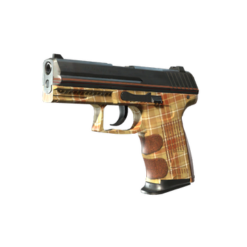 P2000 | Coach Class (Minimal Wear)