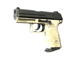 StatTrak™ P2000 | Ivory
