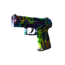 StatTrak™ P2000 | Acid Etched (Well-Worn)