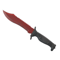 ★ Bowie Knife | Crimson Web (Field-Tested)