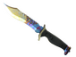 ★ StatTrak™ Bowie Knife | Case Hardened (Field-Tested)