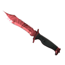 ★ Bowie Knife | Slaughter (Field-Tested)