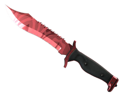 ★ Bowie Knife | Slaughter