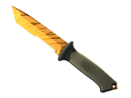 ★ Ursus Knife | Tiger Tooth