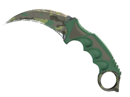 ★ Karambit | Boreal Forest