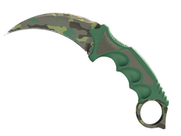 ★ Karambit | Boreal Forest