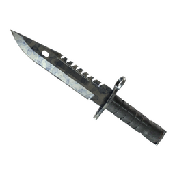 ★ M9 Bayonet | Stained (Field-Tested)