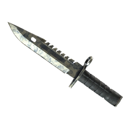★ M9 Bayonet | Stained (Battle-Scarred)