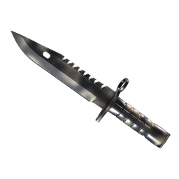 ★ M9 Bayonet | Scorched (Minimal Wear)