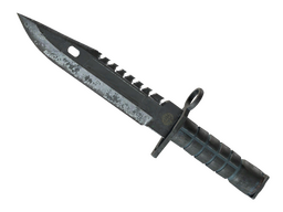★ M9 Bayonet | Night