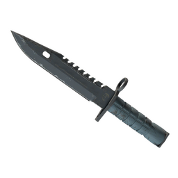 ★ M9 Bayonet | Night (Field-Tested)