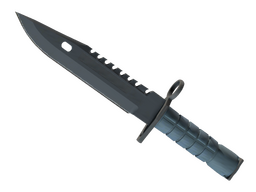 ★ M9 Bayonet | Night