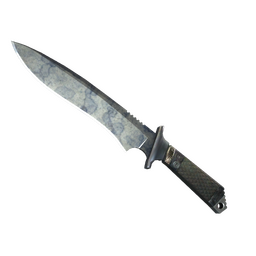 ★ StatTrak™ Classic Knife | Stained (Well-Worn)