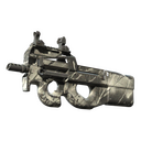 P90 | Ash Wood (Well-Worn)