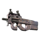 P90 | Wash me (Well-Worn)