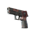 P250 | Constructivist (Field-Tested)