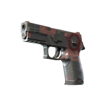 P250 | Constructivist (Field-Tested)